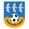 https://img.tysc001.com/img/football/team/259a1106a33b56d2bb3c458a62ffa2ea.png