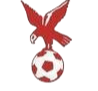 https://img.tysc001.com/img/football/team/4802d26df935b78bb2fcdbbff36e8864.png