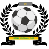 https://img.tysc001.com/img/football/team/6dc6d59af2f0962597b412473a6708ee.png