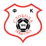 https://img.tysc001.com/img/football/team/b71b7bfab3d42c691e953977143504e5.png